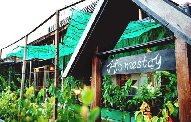 Homestay Homestay
