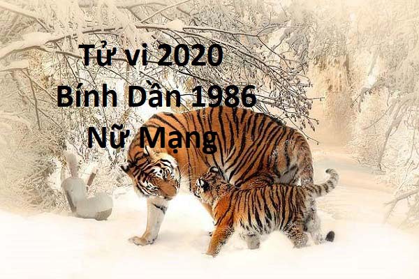 Hướng hợp nhất đối với Nữ tuổi Bính Dần