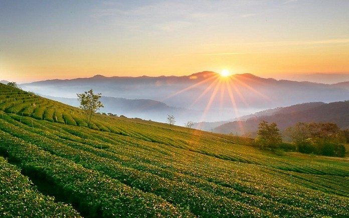 ký hiệu các loại đất theo luật đất đai năm 2013