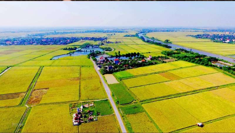 vai trò của đất đai