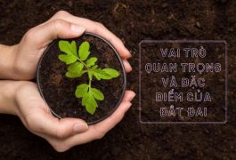 vai trò của đất đai