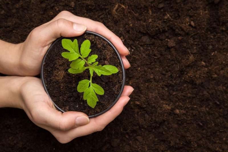 vai trò của đất đai