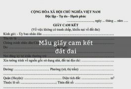 mẫu giấy cam kết đất đai