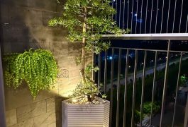 Cho thuê căn 3PN lớn 6 người ở nội thất xịn Vinhomes Grand Park