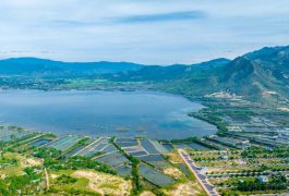 VỊ TRÍ DỰ ÁN VINHOMES CAM RANH